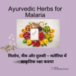 Ayurvedic Herbs for Malaria