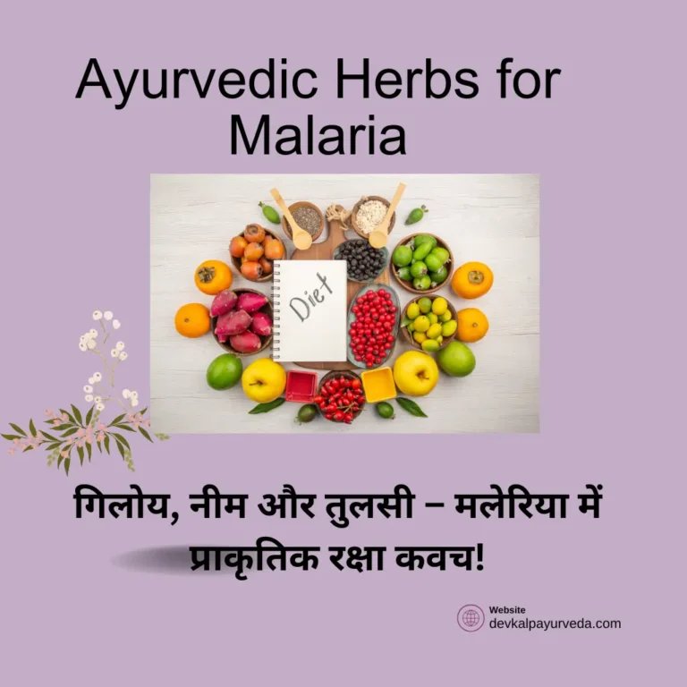 Ayurvedic Herbs for Malaria