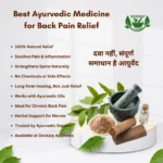best-herbal-remedies-for-back-pain-relief