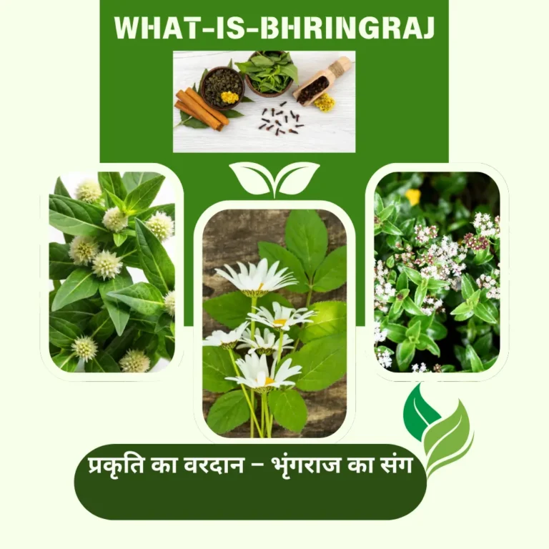 bhringraj plant benefits