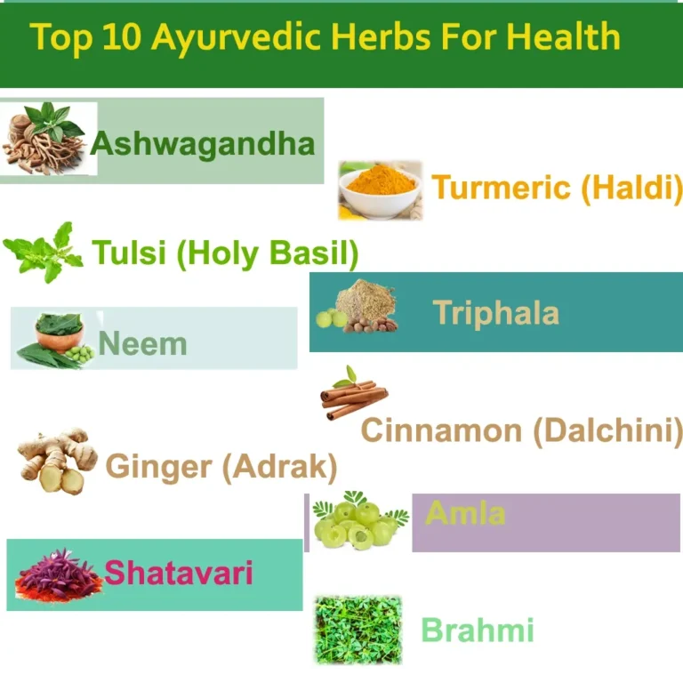 Top 10 Ayurvedic Herbs and Their Health Benefits