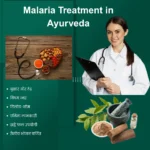 Malaria Treatment in Ayurveda