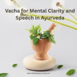 Vacha Herb for Memory and Speech in Ayurveda