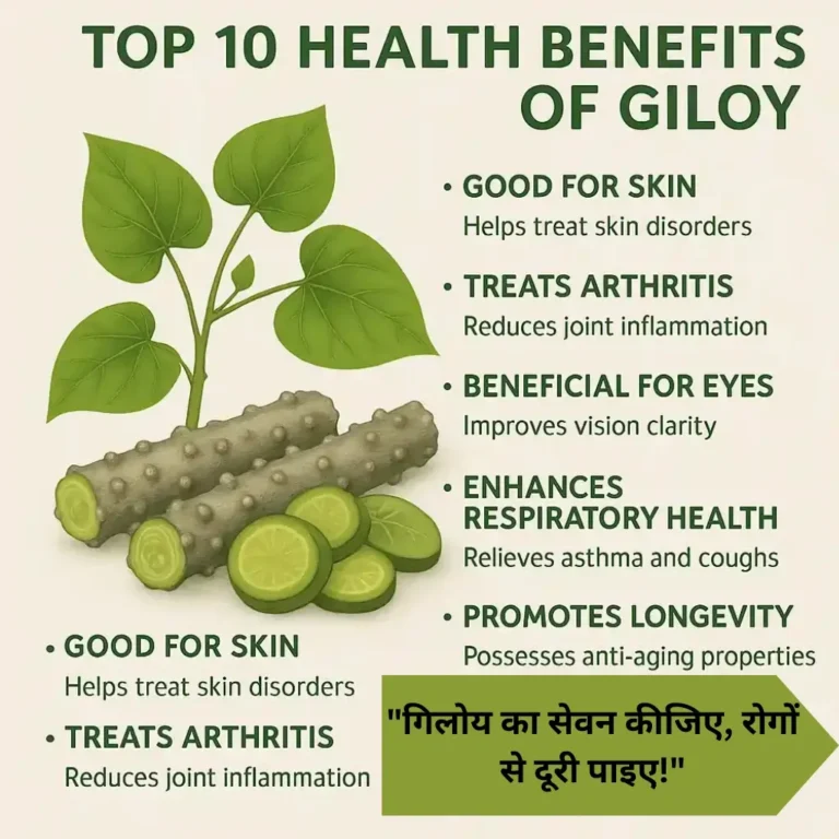 Top 10 Health Benefits of Giloy