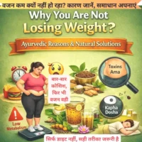 Why You Are Not Losing Weight